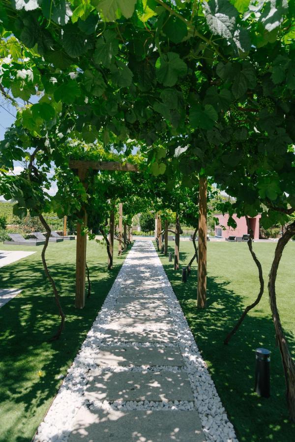Farm stay Quinta Vale De Sousa - Douro Valley
