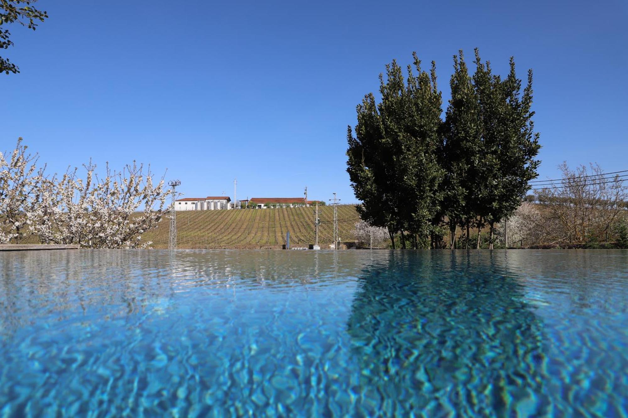 Séjour à la ferme Quinta Vale De Sousa - Douro Valley